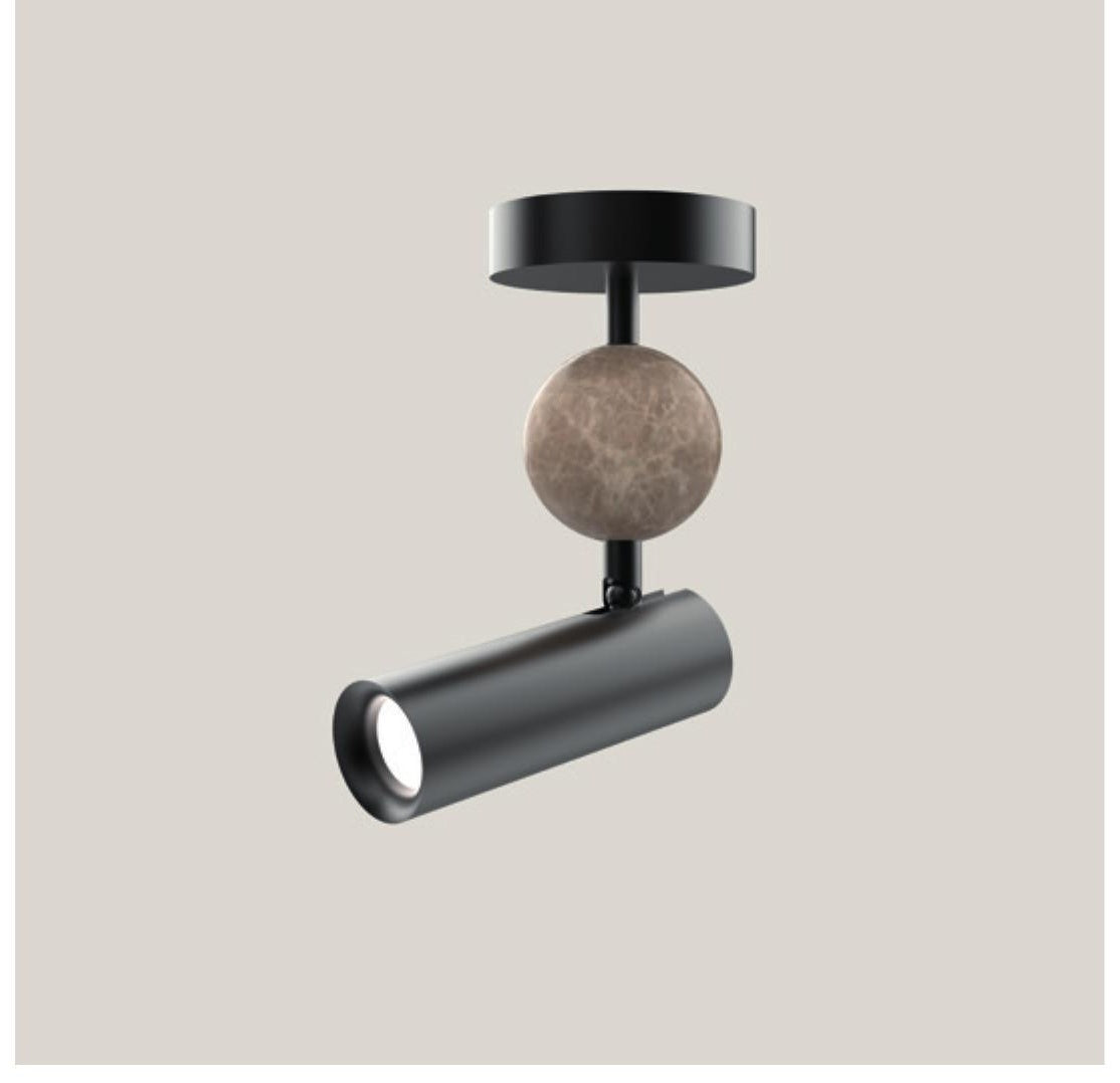 Aromas del Campo spot de tavan Ledi | Aluminiu | Antracit
