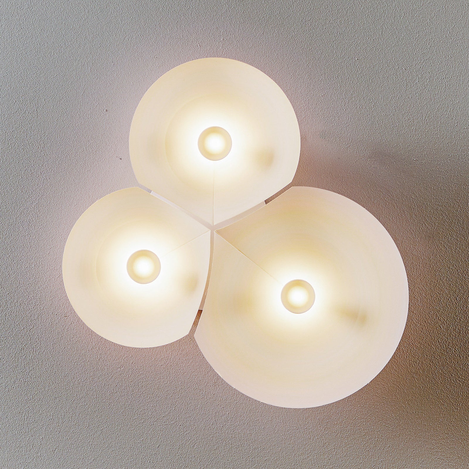 Luceplan aplică Bulbullia | Led | 37x31 cm