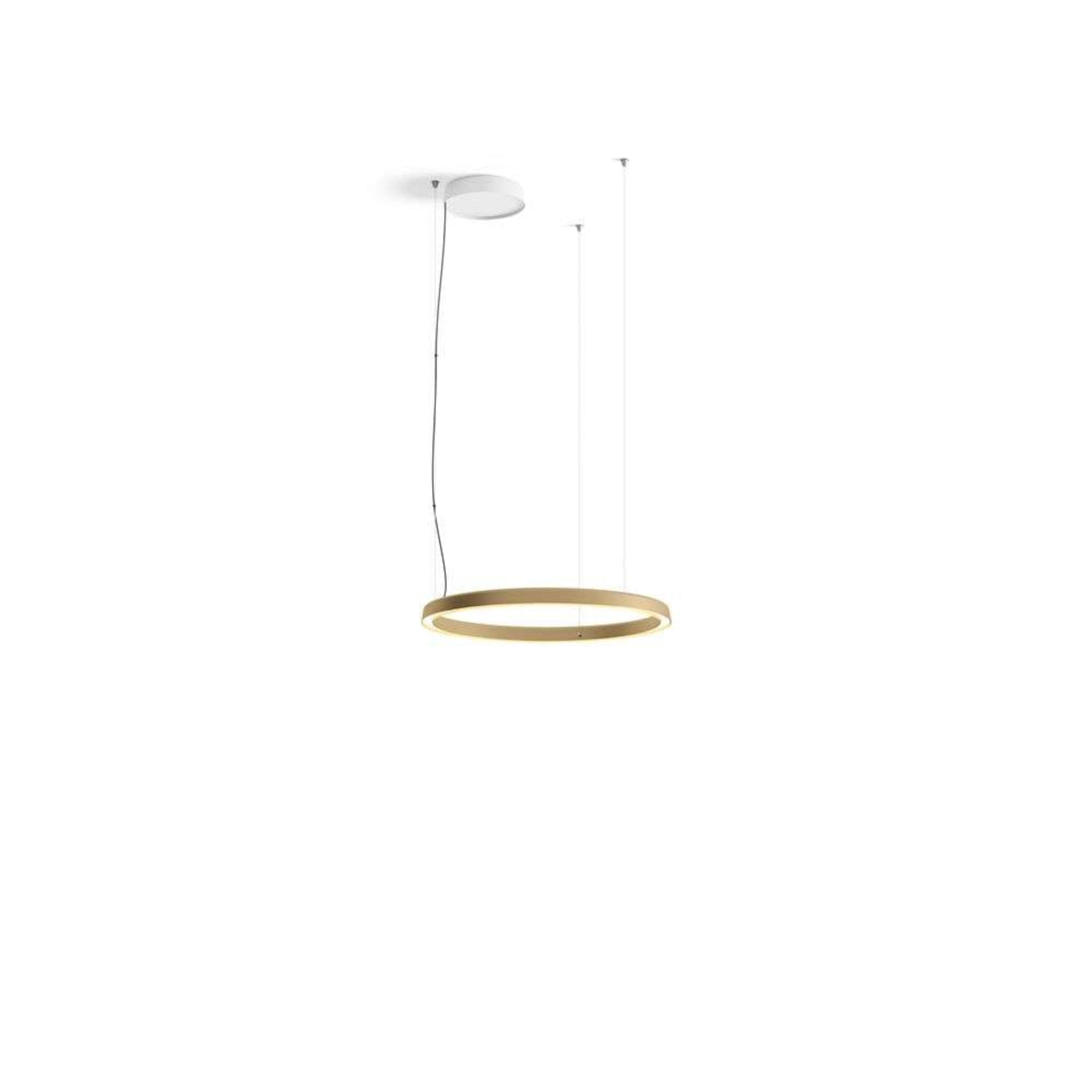 Luceplan lustră Compendium Circle | Led alamă | Ø 72 cm