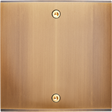 Modelec Confidence Placa simpla B2 pentru 2 intrerupatoare basculante | Bronz Vechi