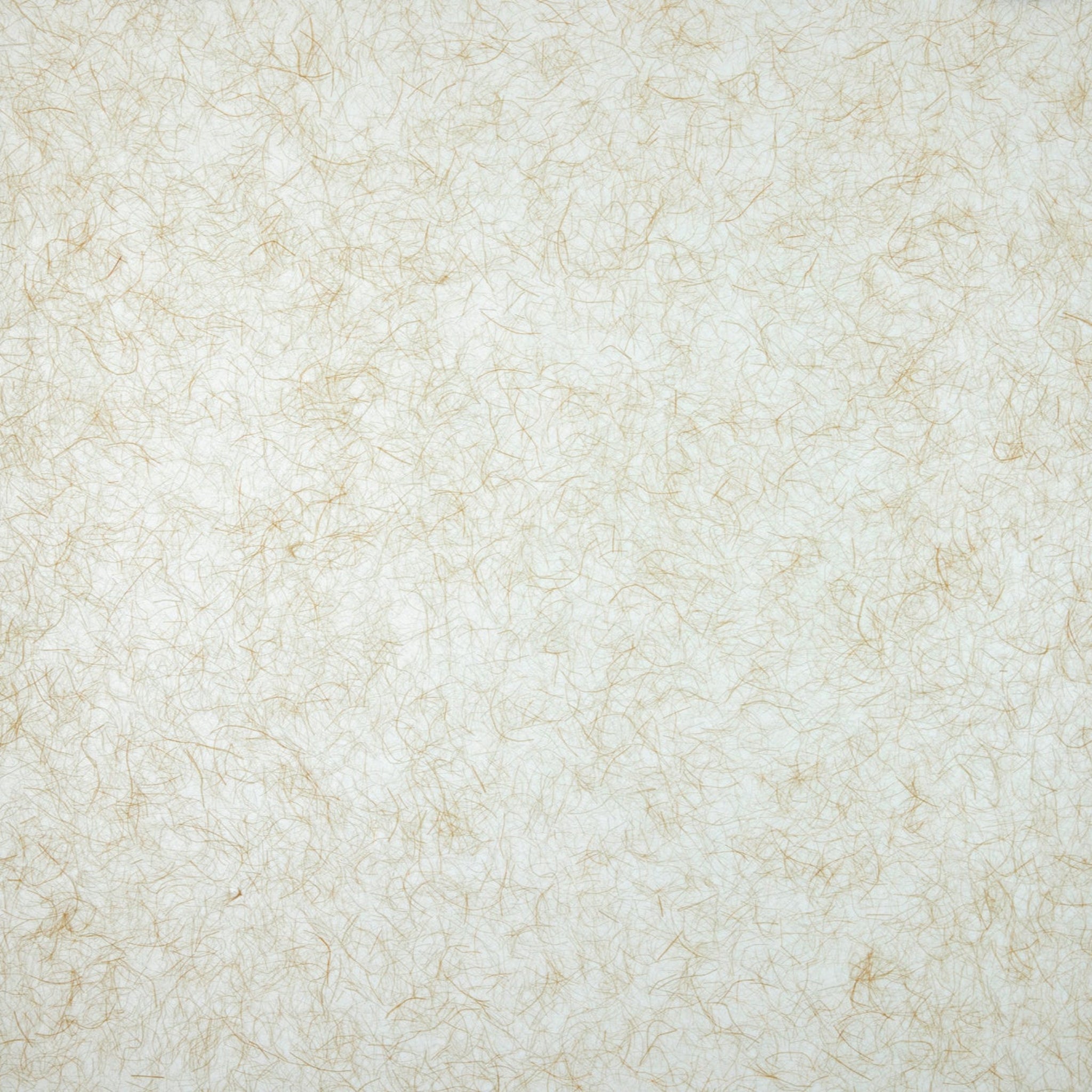 Motarasu lustră ENSO Raw hârtie washi japoneză, sârmă oțel Stejar natural L123.4, l20, H20, Ø20 cm 4