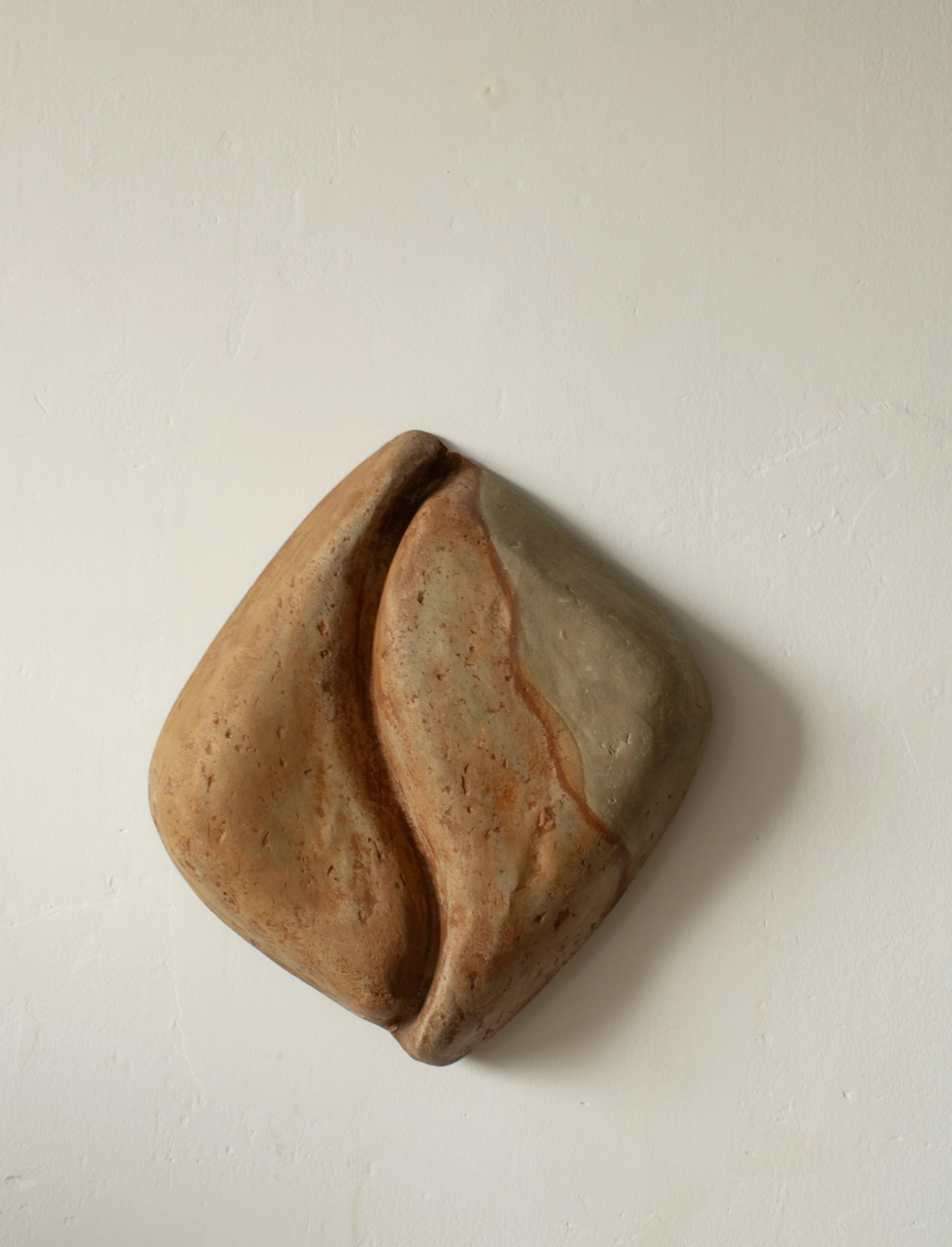 Serica- aplica ambientala din paper mache