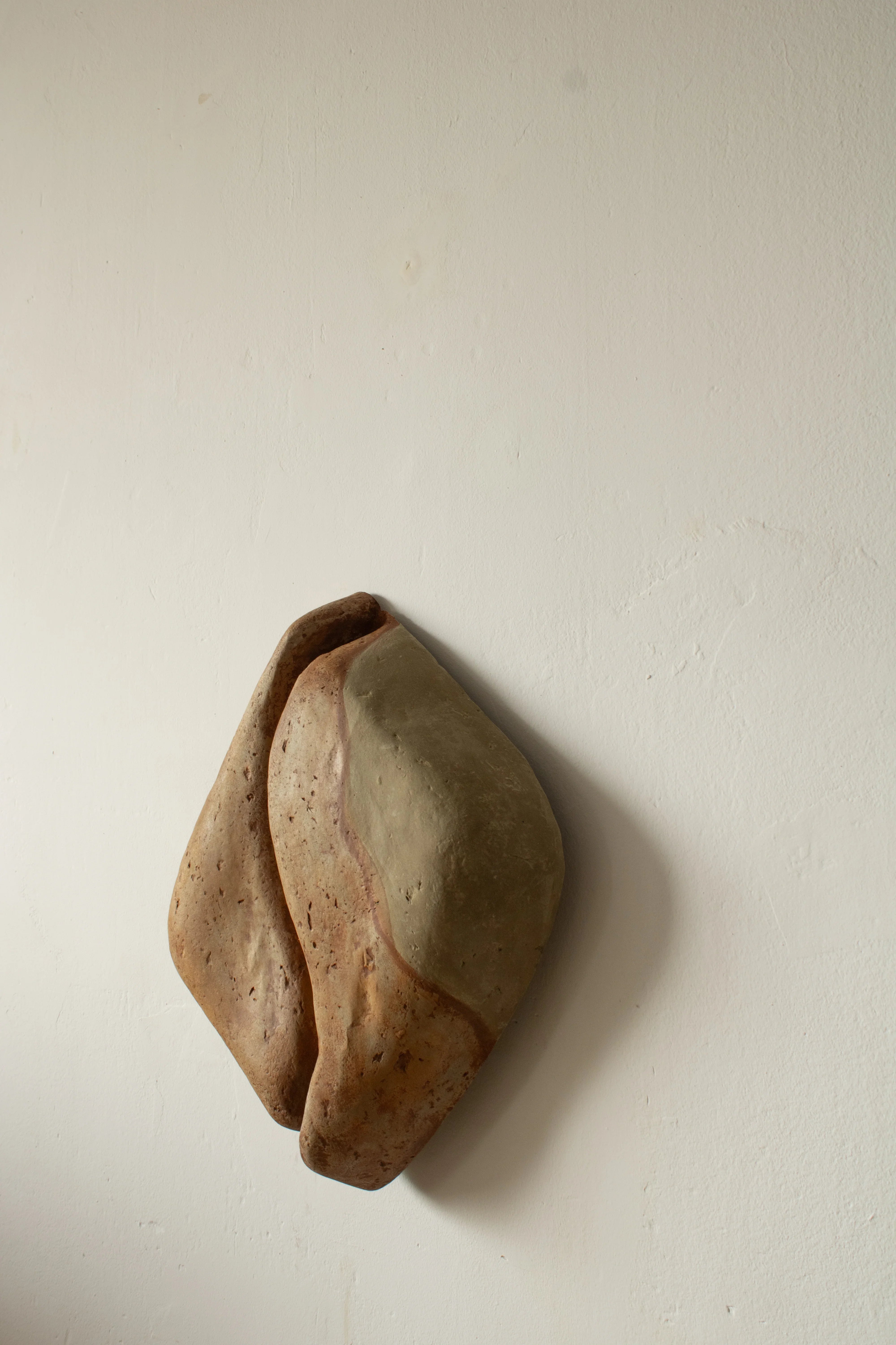 Serica- aplica ambientala din paper mache