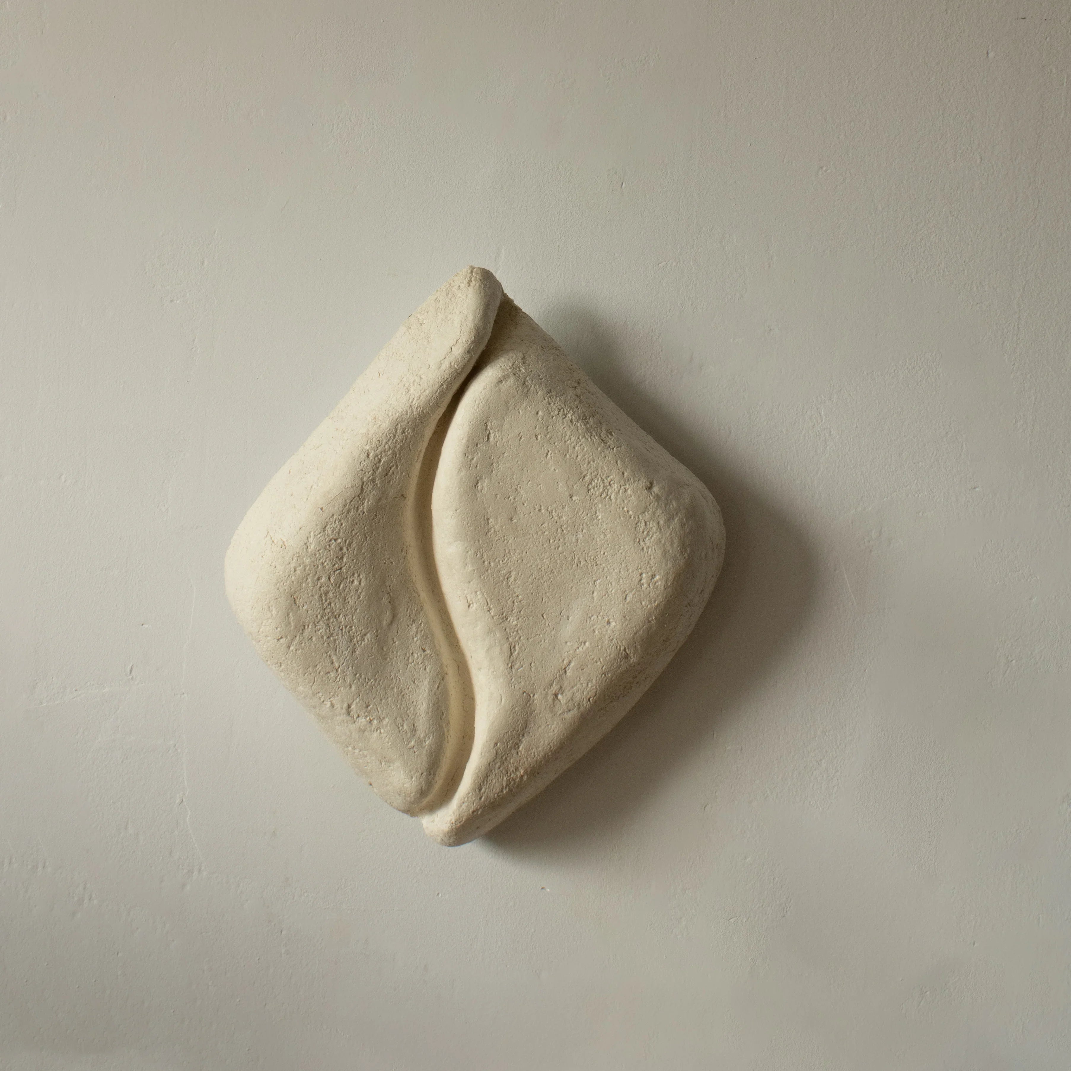 Serica- aplica ambientala din paper mache