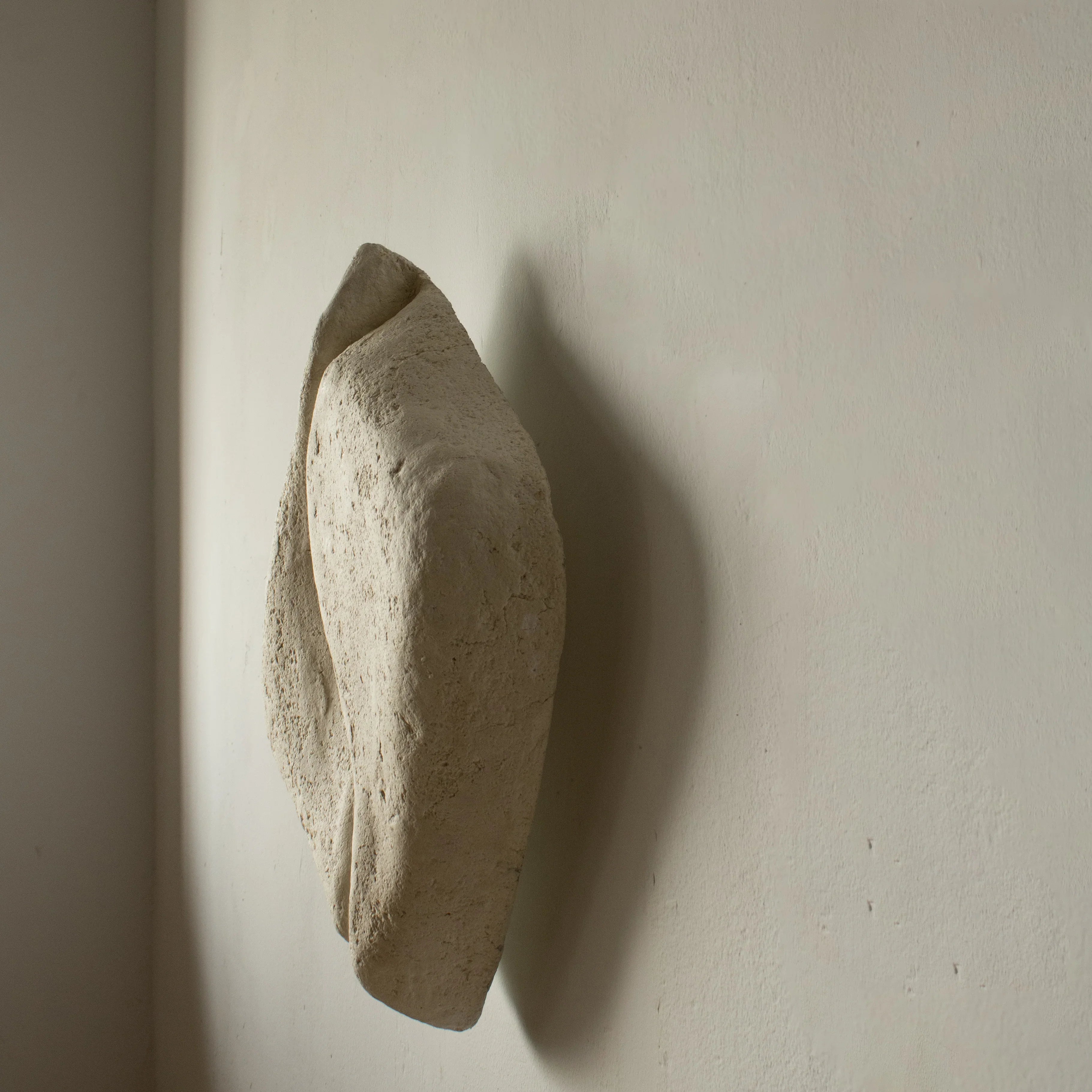 Serica- aplica ambientala din paper mache