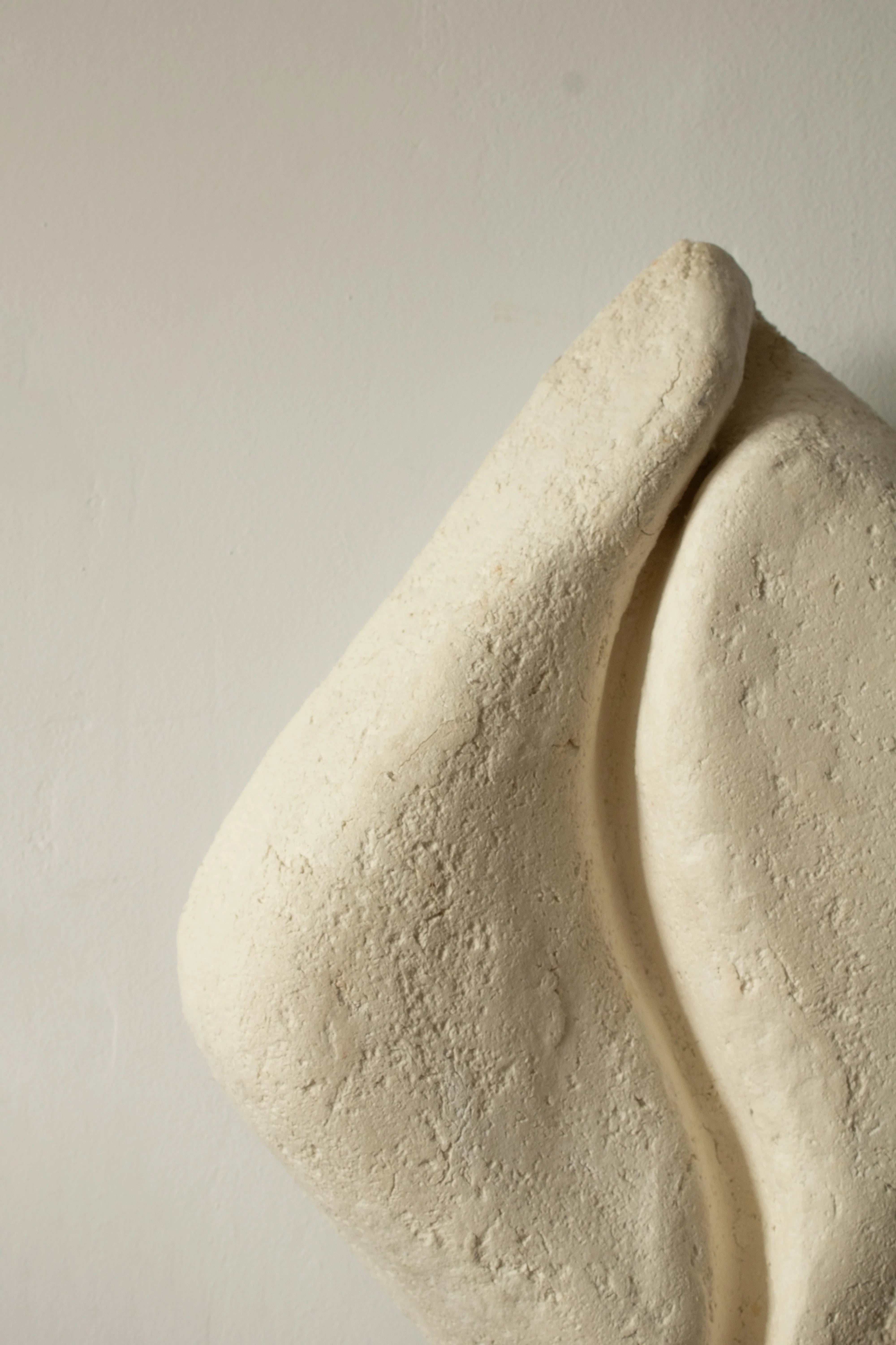 Serica- aplica ambientala din paper mache