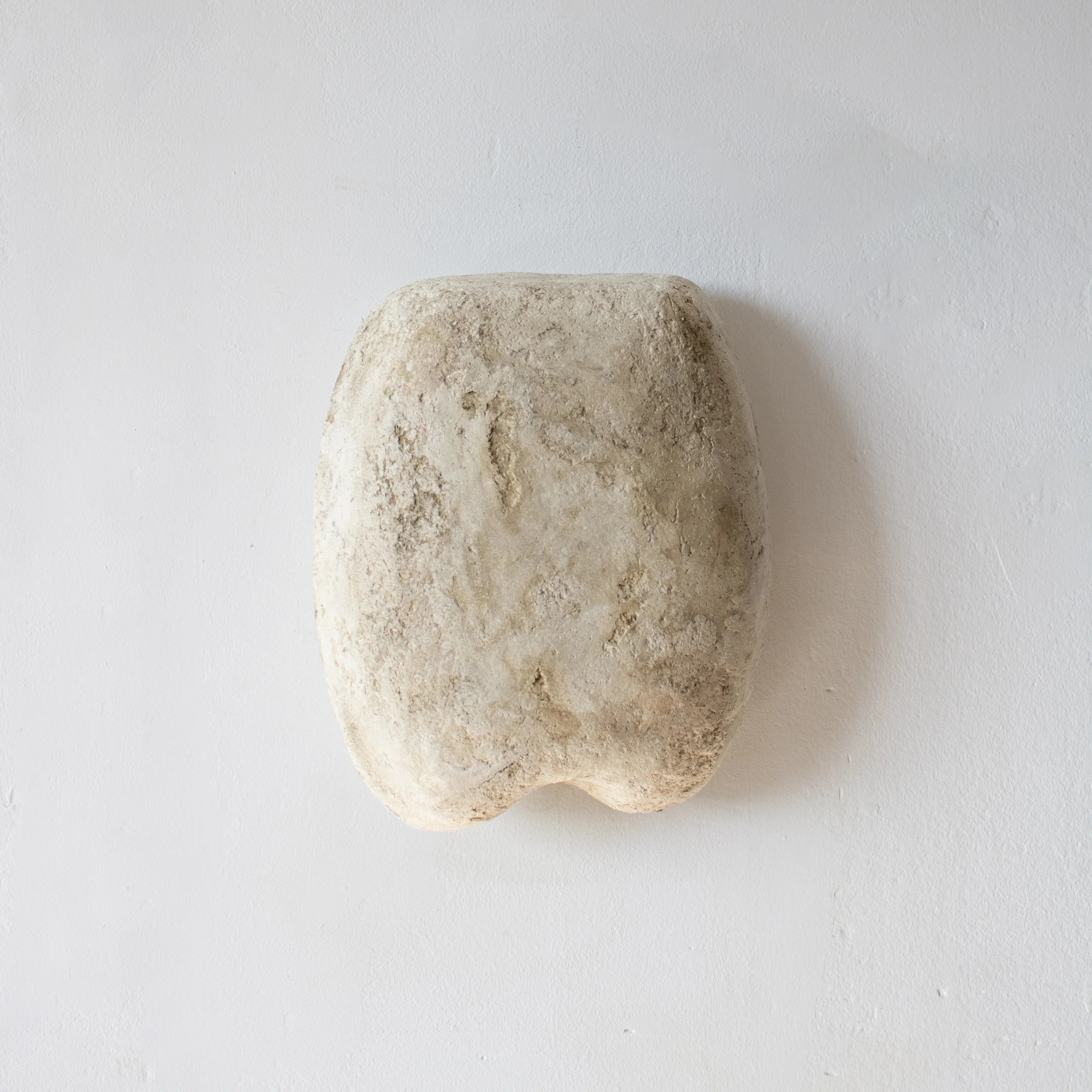 Shelle- aplica ambientala din paper mache