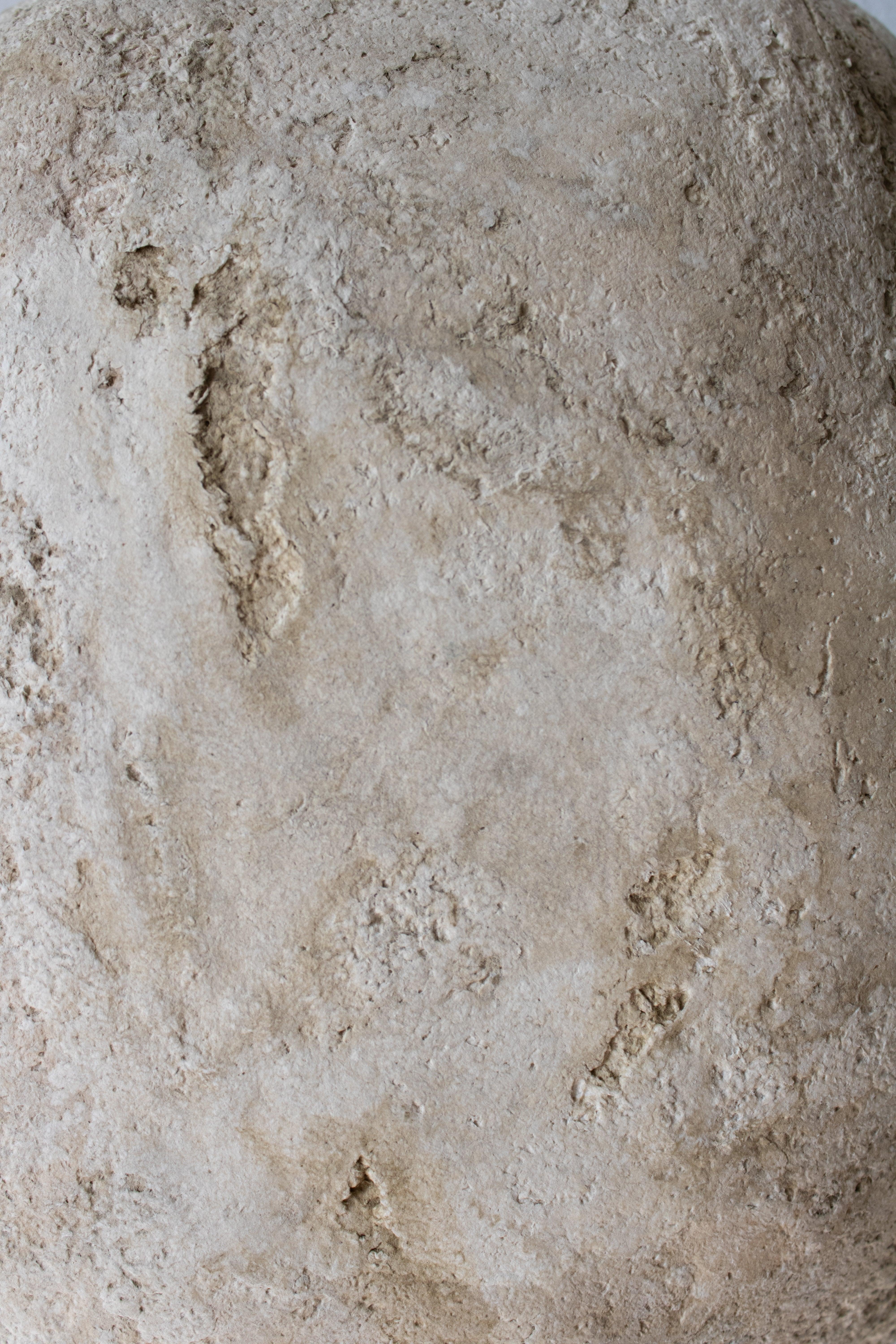 Shelle- aplica ambientala din paper mache