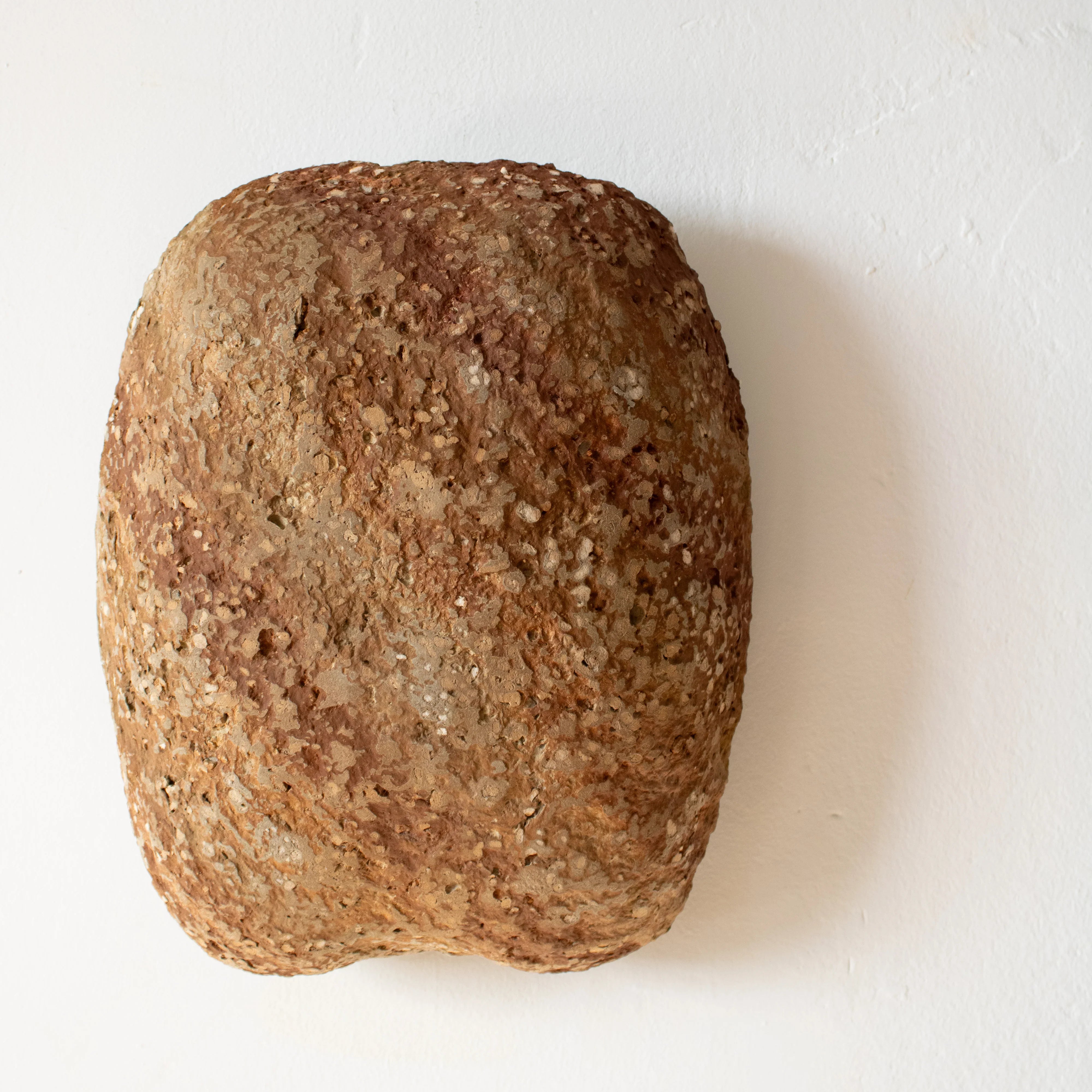 Shelle- aplica ambientala din paper mache