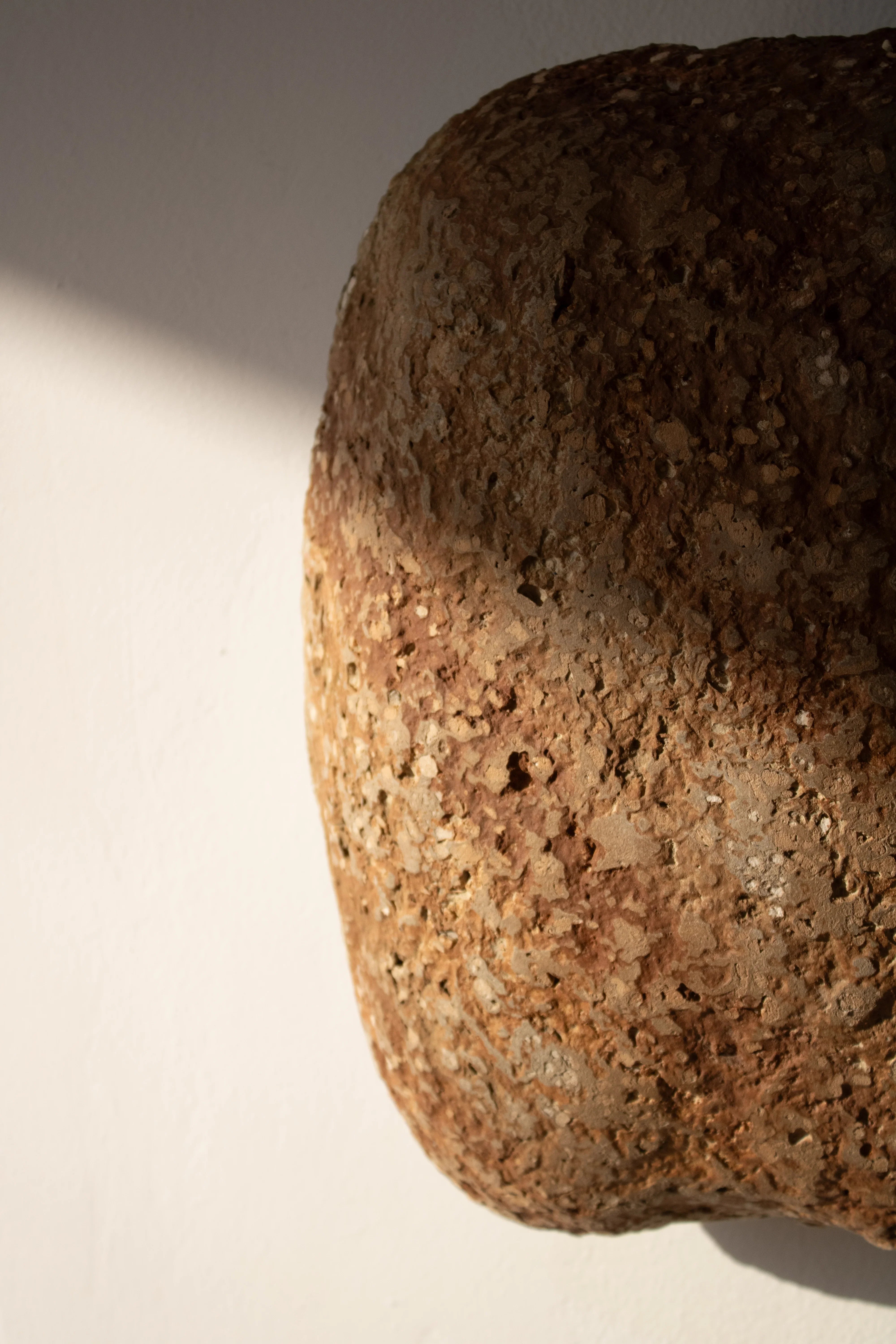 Shelle- aplica ambientala din paper mache