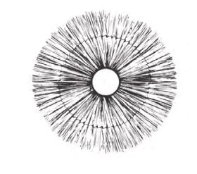 Accesoriu pentru lampa 1141 - Aromas del Campo - PARIS14A.RO