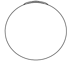 Accesoriu pentru lampa 1280 - Aromas del Campo - PARIS14A.RO