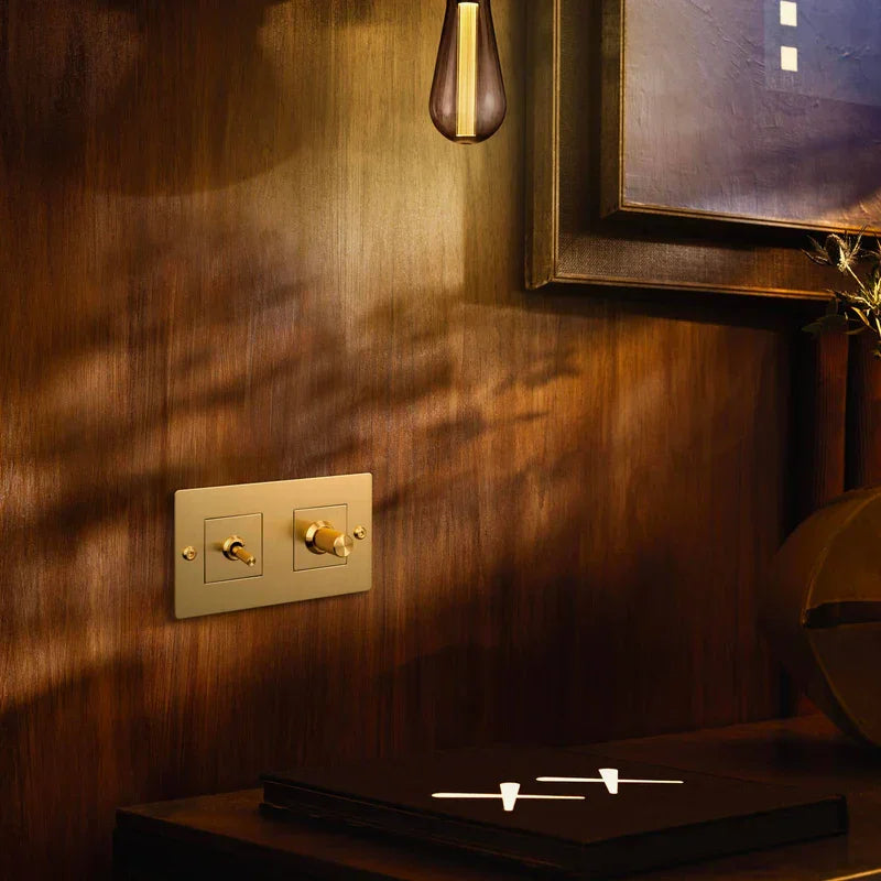 Detaliu pentru Placă Metalică pentru Întrerupătoare și Prize / Linear - Buster & Punch