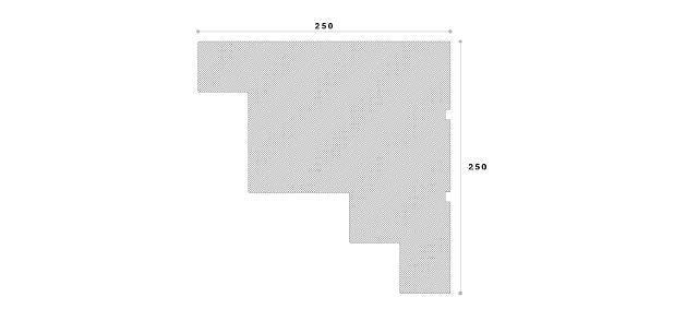 CORNISA DECORATIVA EXTERIOR NC153 250X250X2000 - PARIS14A.RO