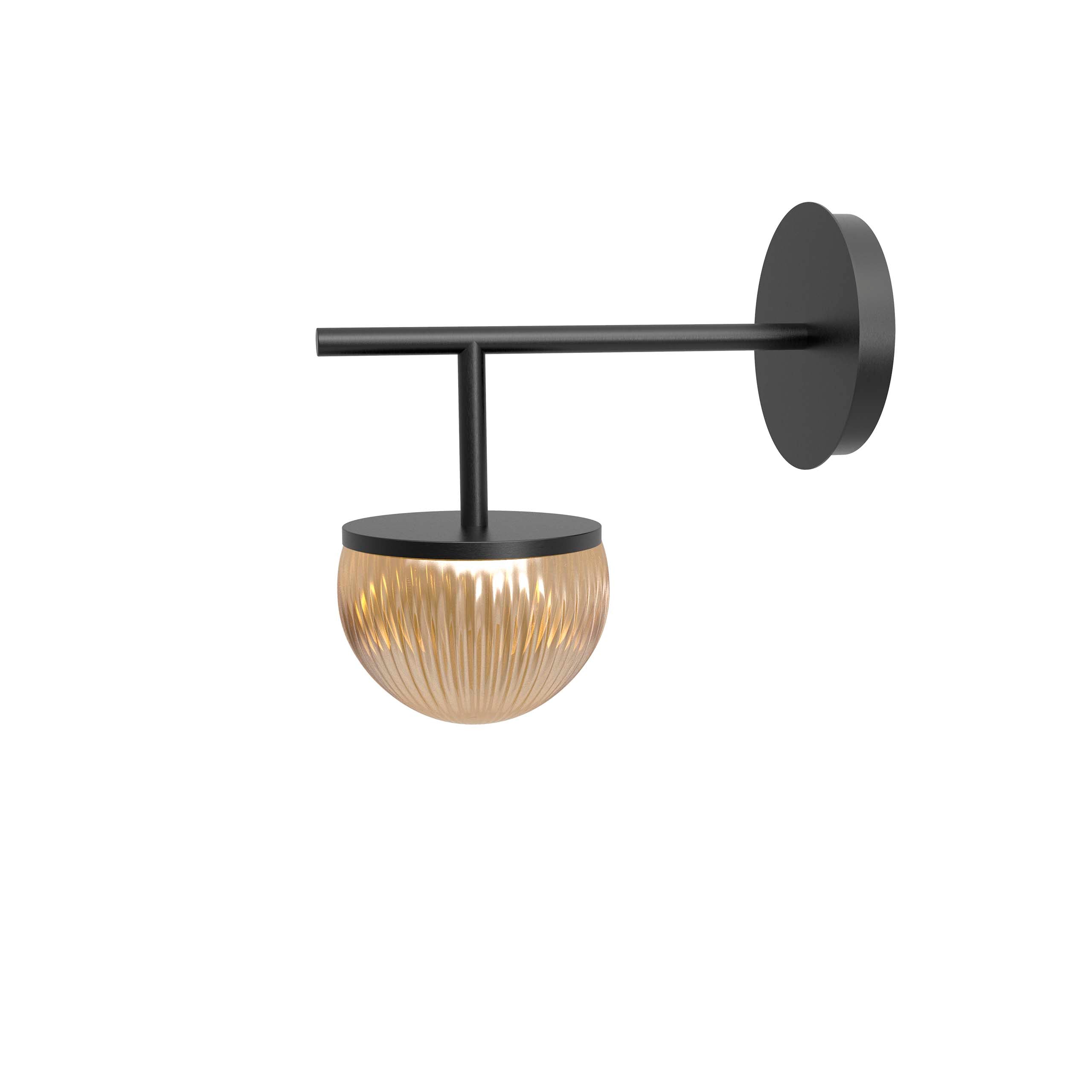 Robin aplică Roi Single Arm alamă, sticlă Black structure and transparen G9, 12x22x22 cm