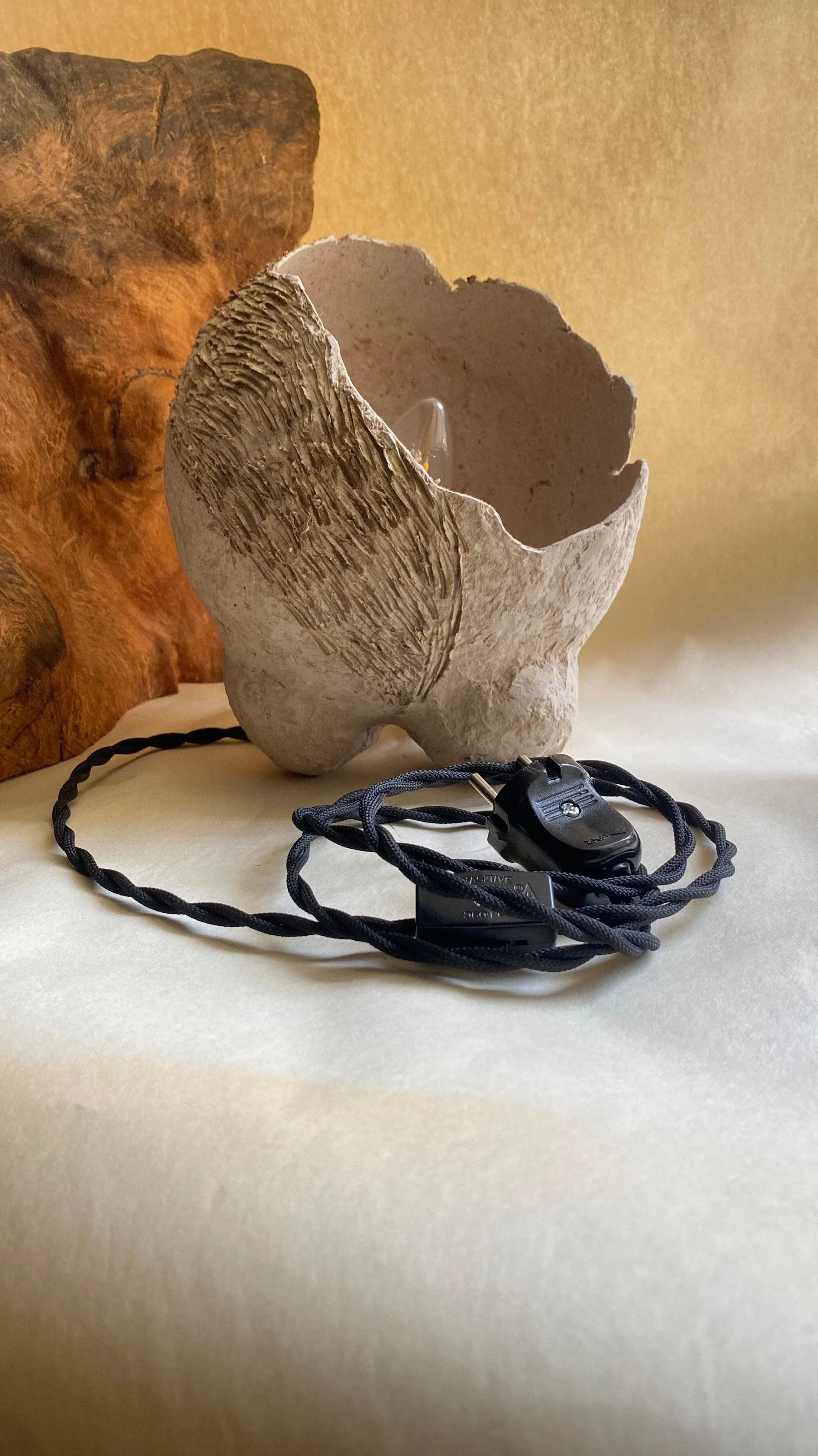 Lampă tip proiector Izvor - VECHICANOU - PARIS14A.RO