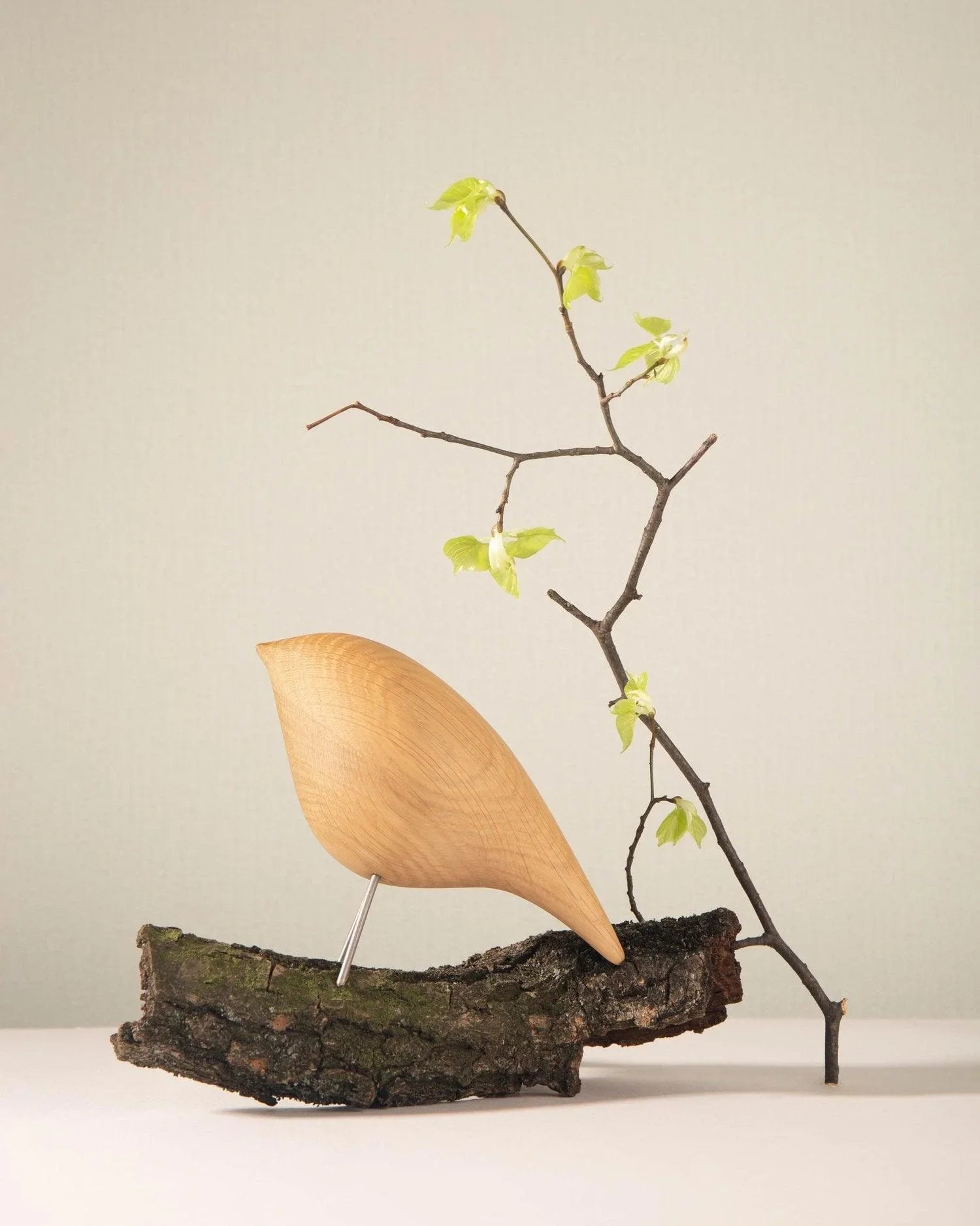 Pasare decorativa Tweety CS4 - Noom - PARIS14A.RO