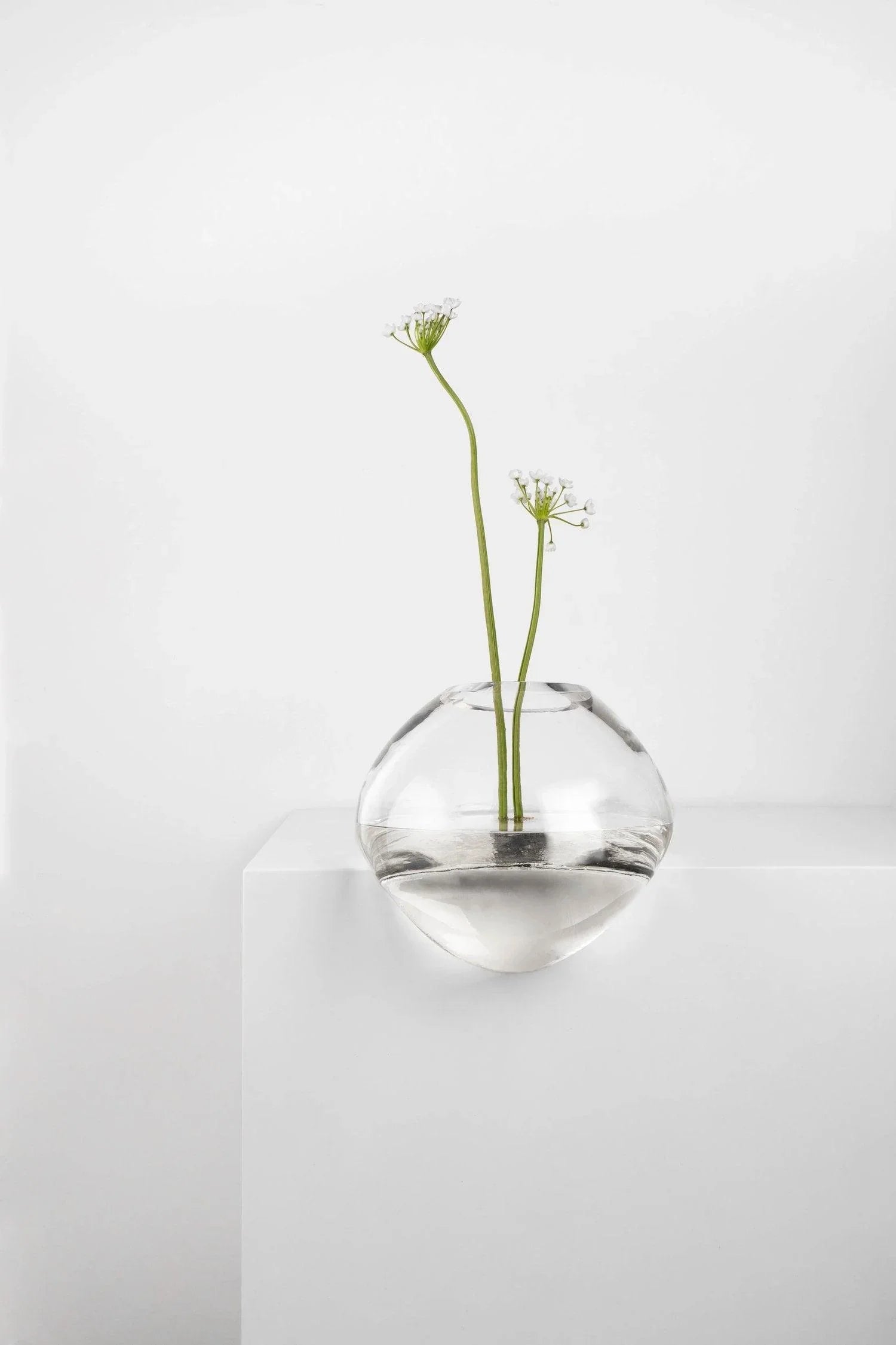 Vaza Gutta CS1 - Noom - PARIS14A.RO