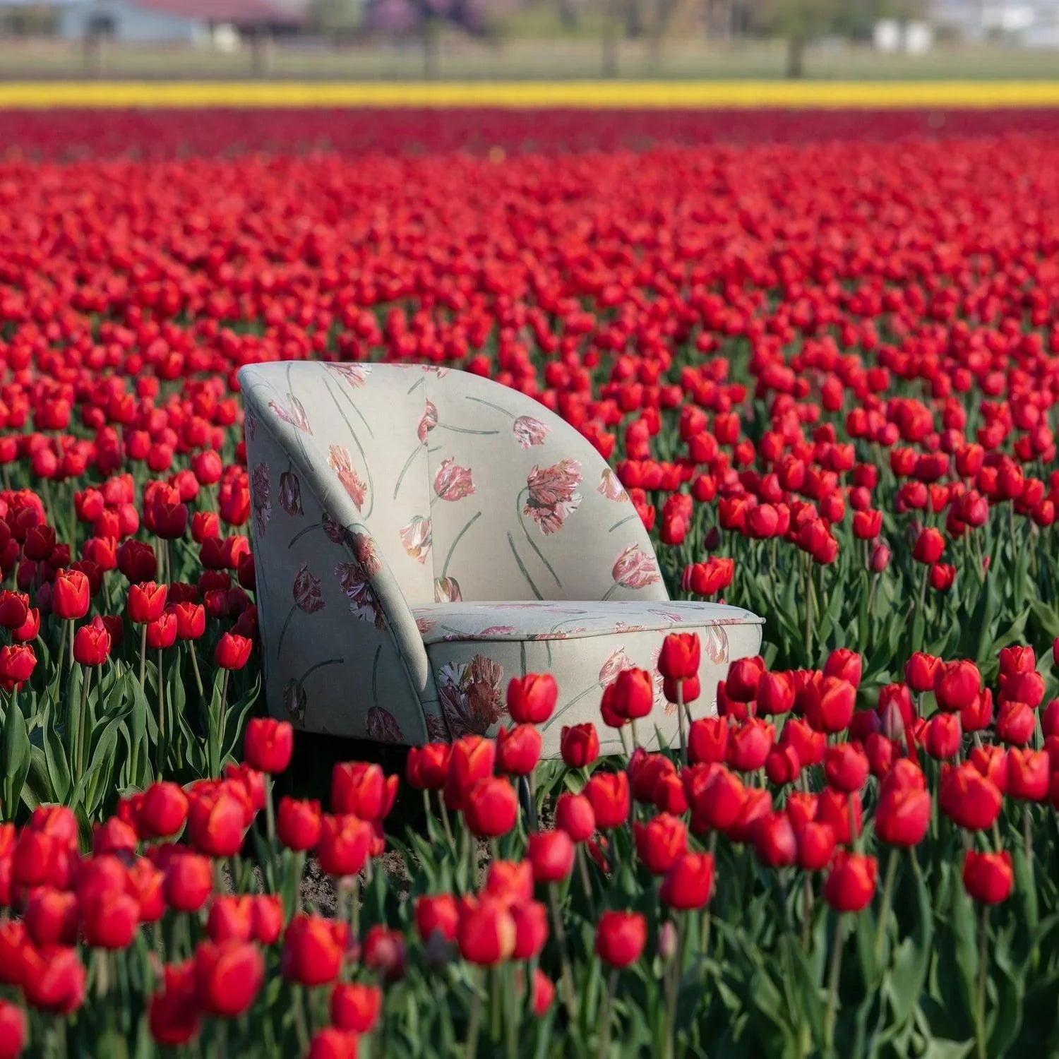 VOGUE ARMCHAIR VELVET ROCOCO AGAVE - PARIS14A.RO