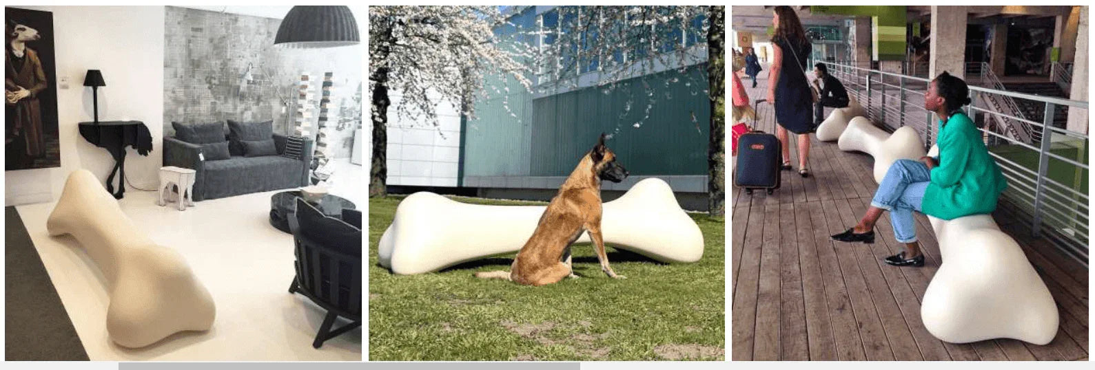 Banca Bonos - Qeeboo - PARIS14A.RO