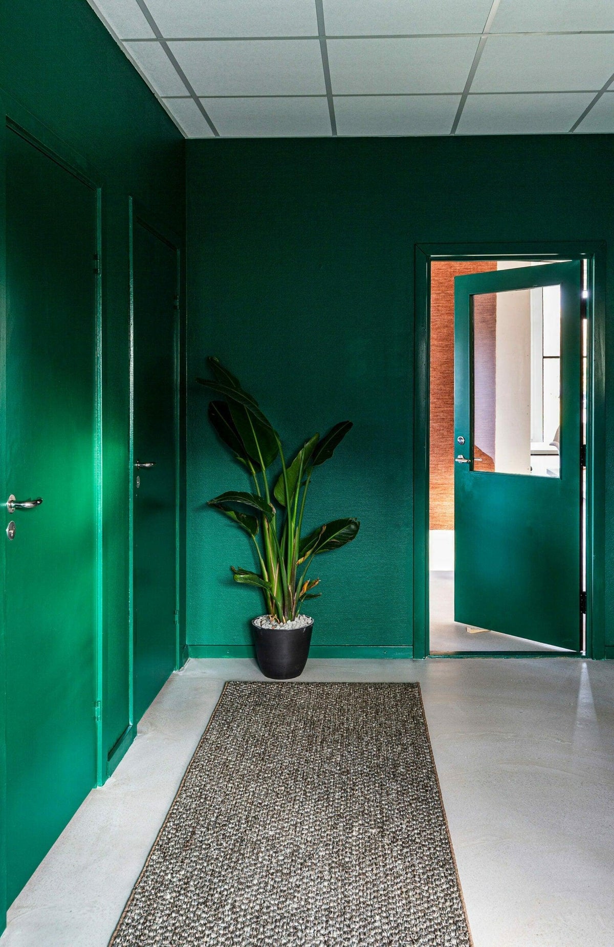Belize natural - PARIS14A.RO