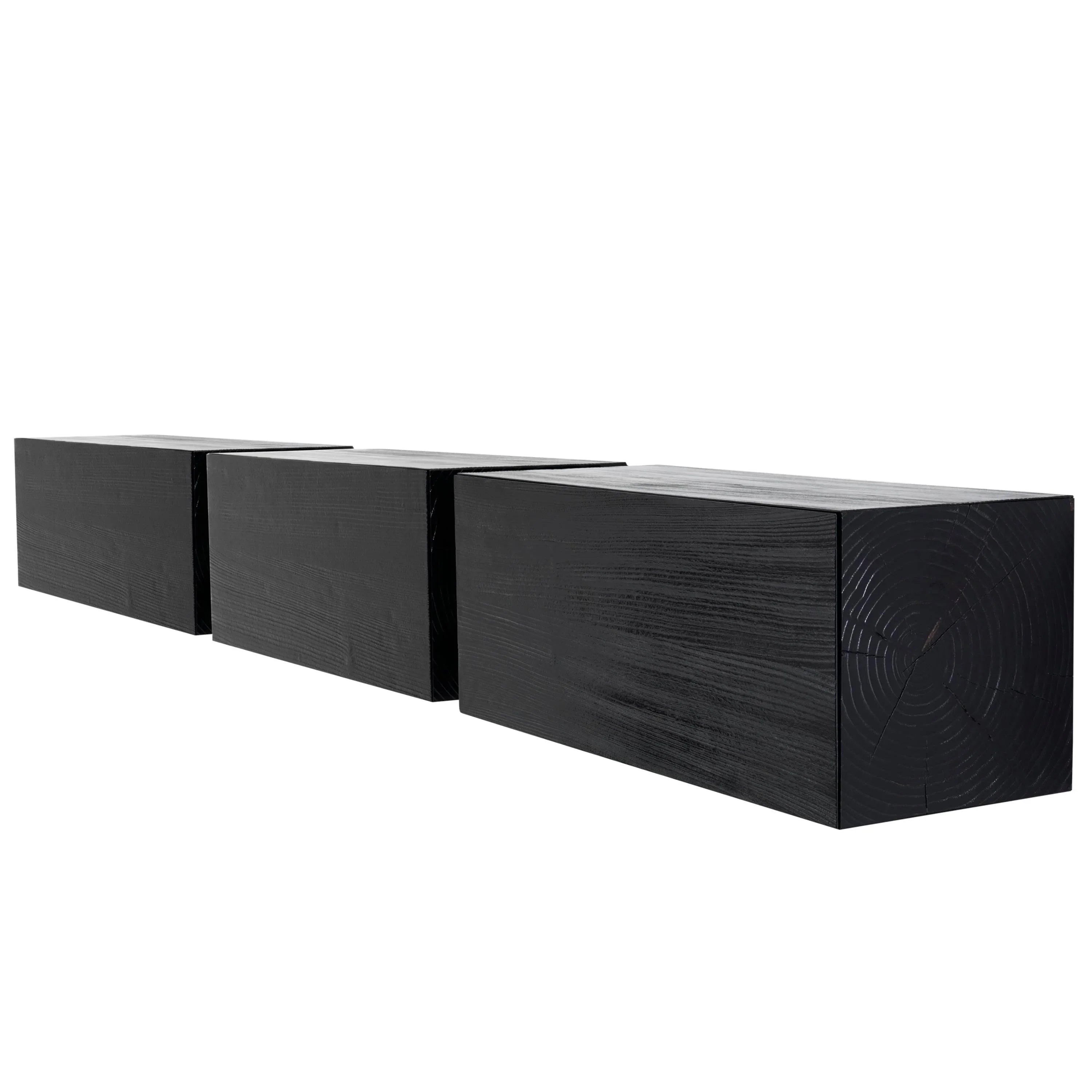 CORTECCIA unitate de perete in Black Finish de Andrea Salvetti & Mogg - PARIS14A.RO