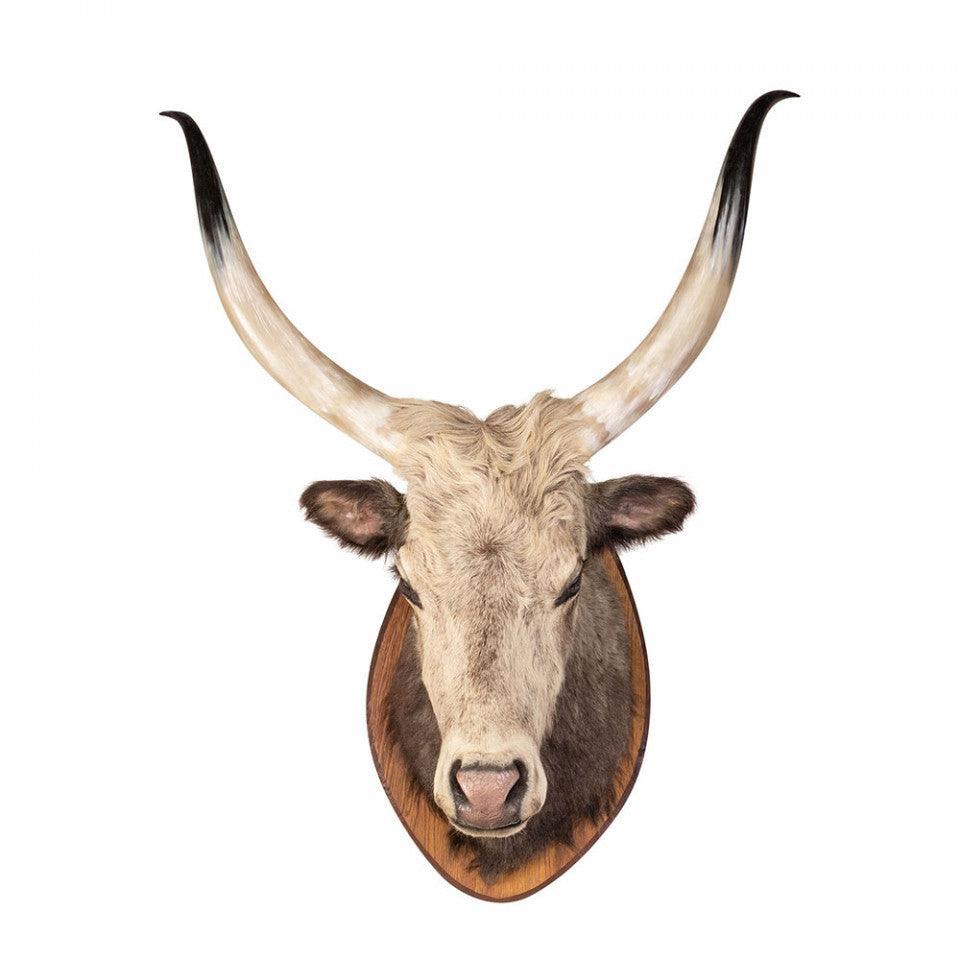 Decoratiune de perete gri 140x158 cm Hungarian Bull Versmissen - PARIS14A.RO