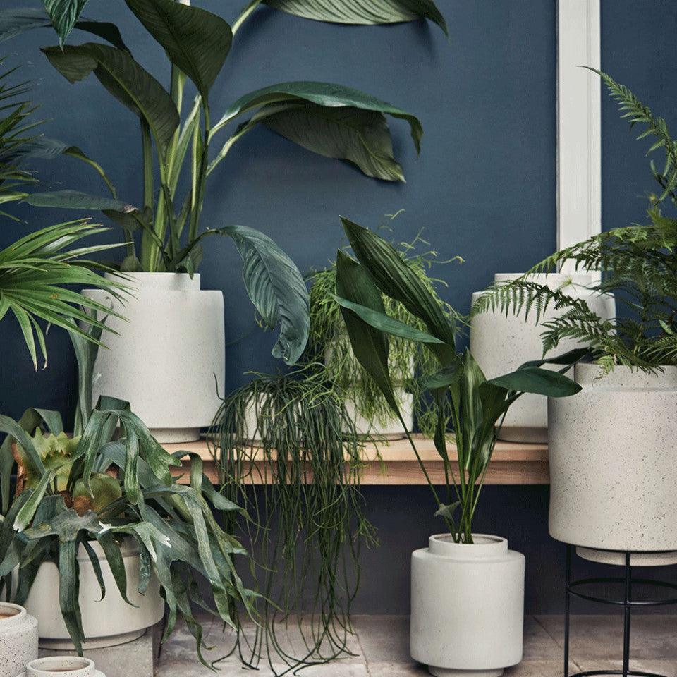 Ghiveci gri/negru din ceramica si otel 20 cm Botanique Bolia - PARIS14A.RO