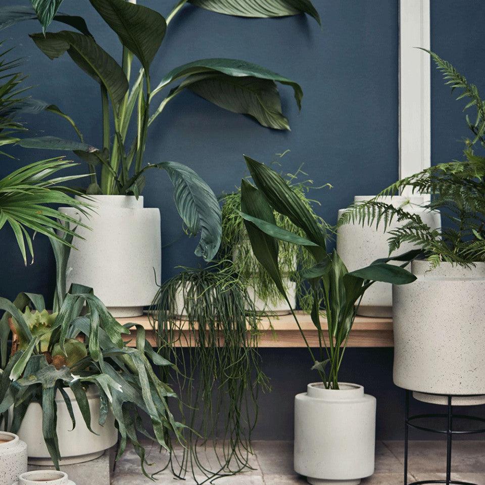 Ghiveci gri/negru din ceramica si otel 20 cm Botanique Bolia - PARIS14A.RO