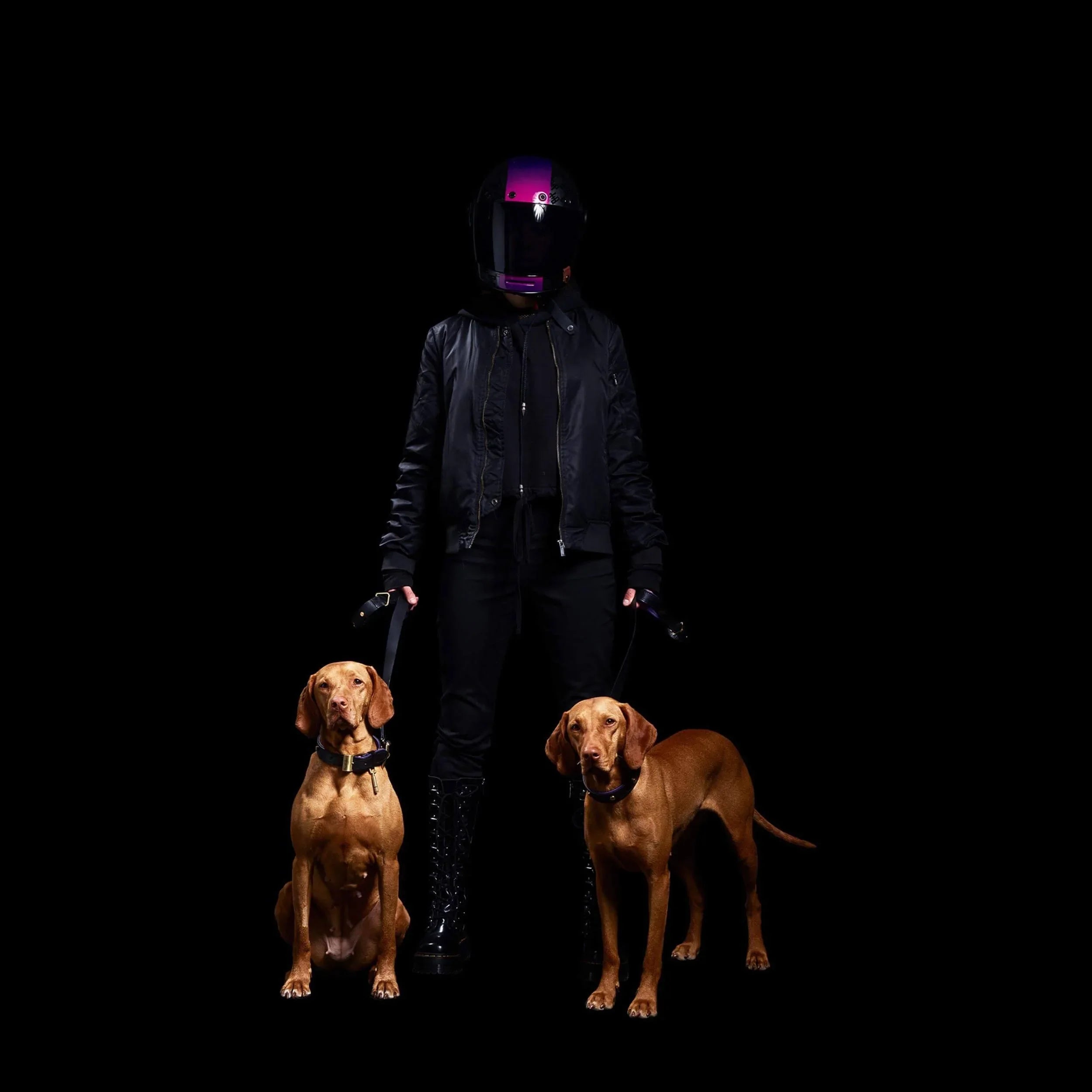 Lesa & zgarda pentru caini / Negru + mov - Buster & Punch - PARIS14A.RO