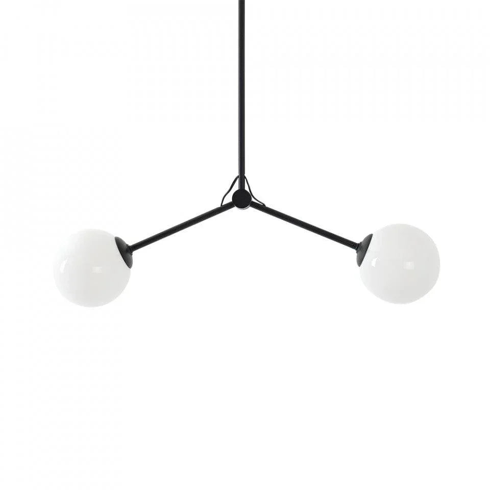 Lustra neagra din sticla si otel cu 2 becuri Catkin Twins Custom Form - PARIS14A.RO