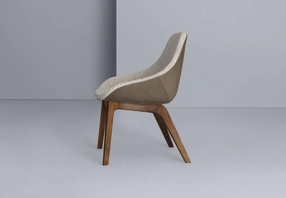 Scaun dineu Morph - Zeitraum - PARIS14A.RO