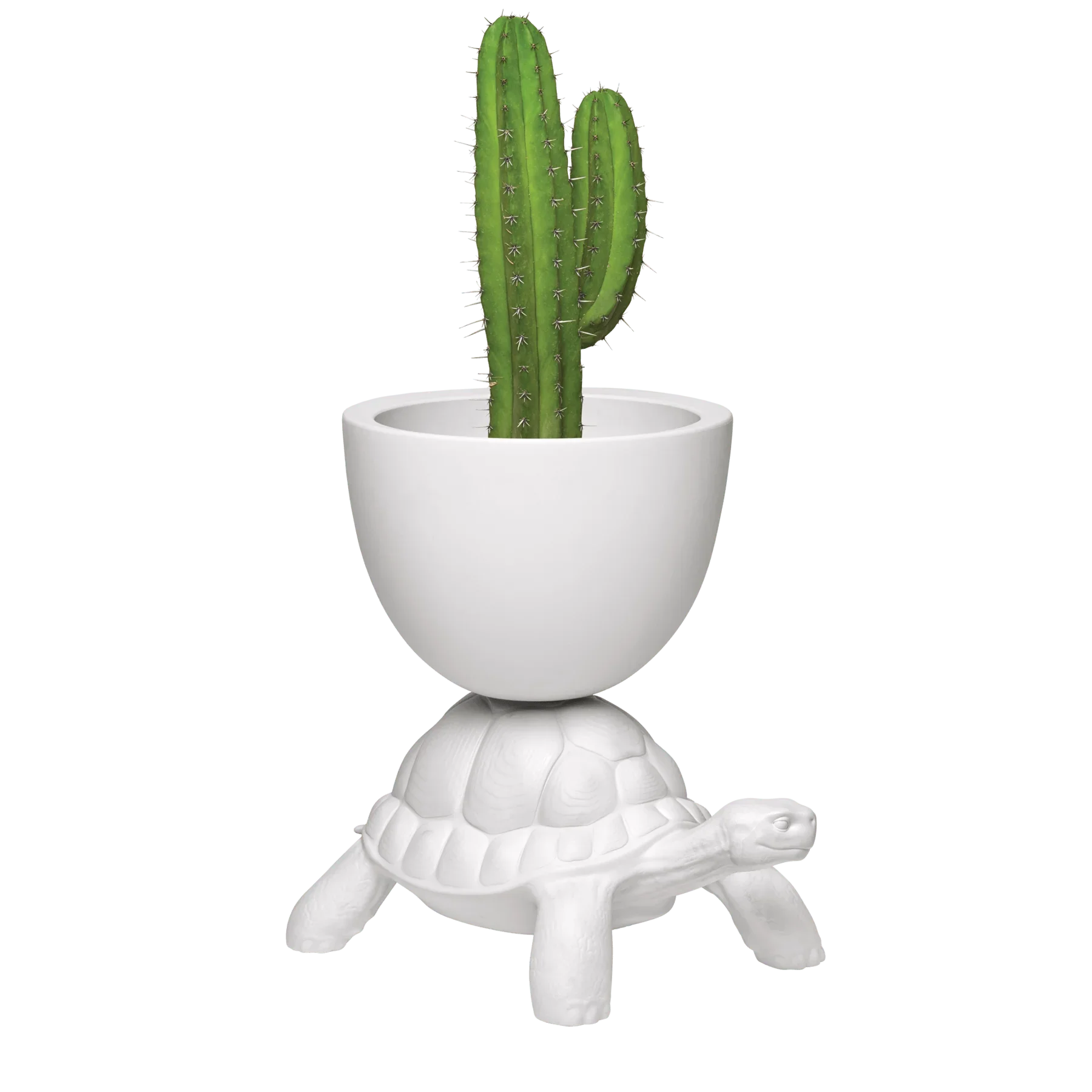 Turtle Carry / Ghiveci sau suport sampanie - Qeeboo - PARIS14A.RO