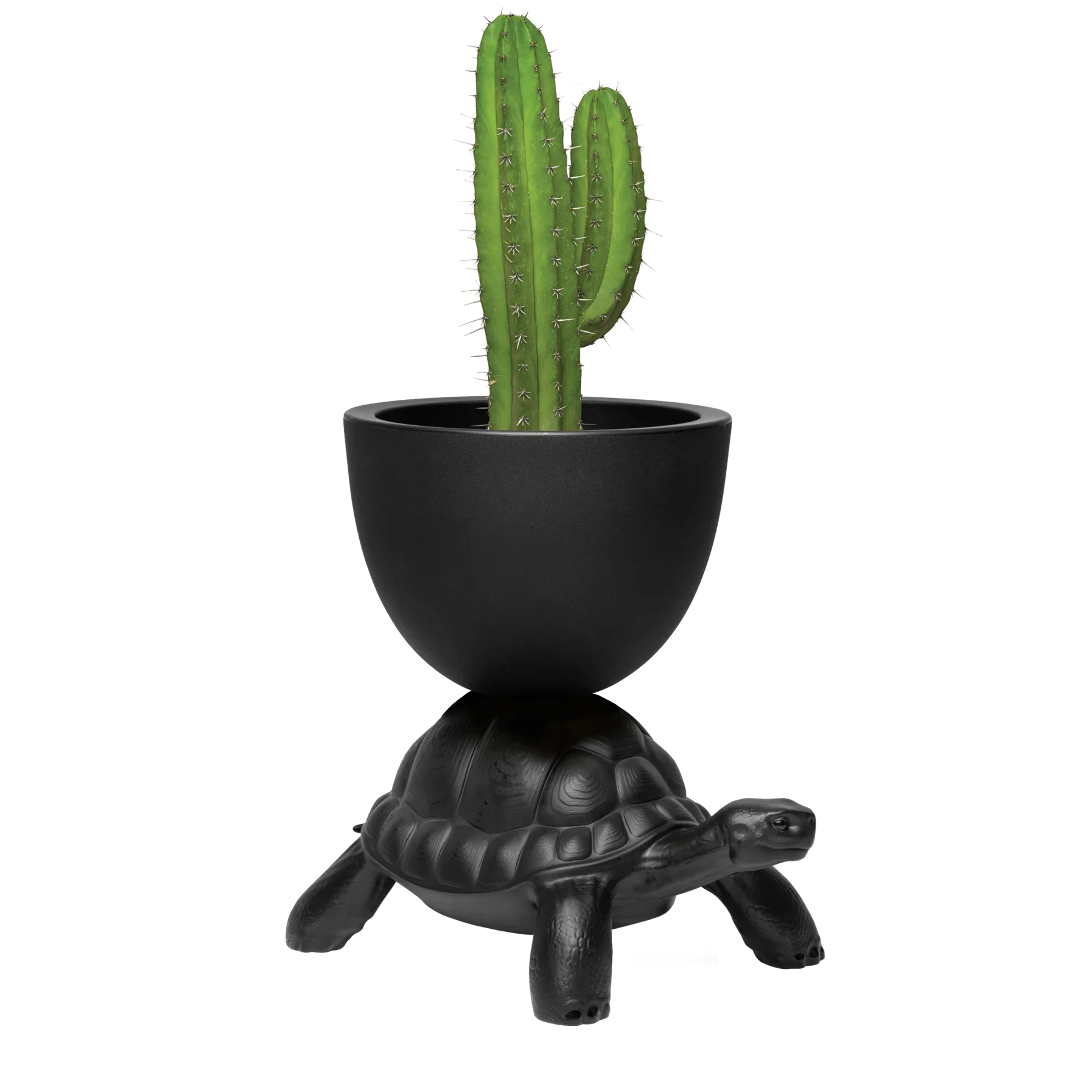 Turtle Carry / Ghiveci sau suport sampanie - Qeeboo - PARIS14A.RO