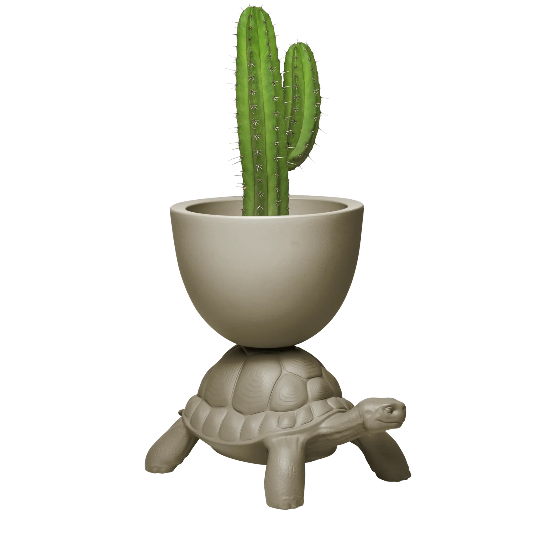 Turtle Carry / Ghiveci sau suport sampanie - Qeeboo - PARIS14A.RO