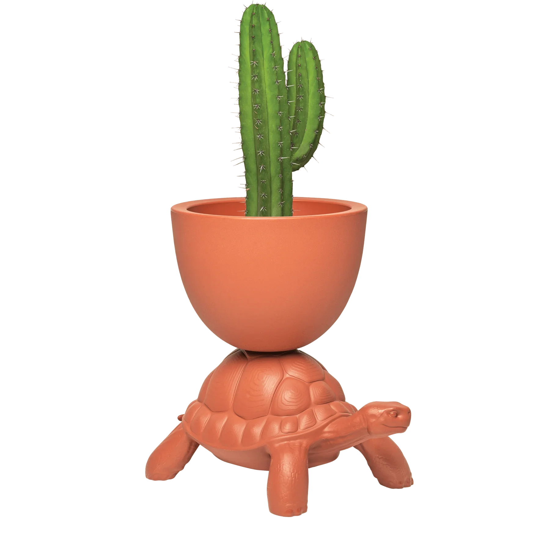 Turtle Carry / Ghiveci sau suport sampanie - Qeeboo - PARIS14A.RO