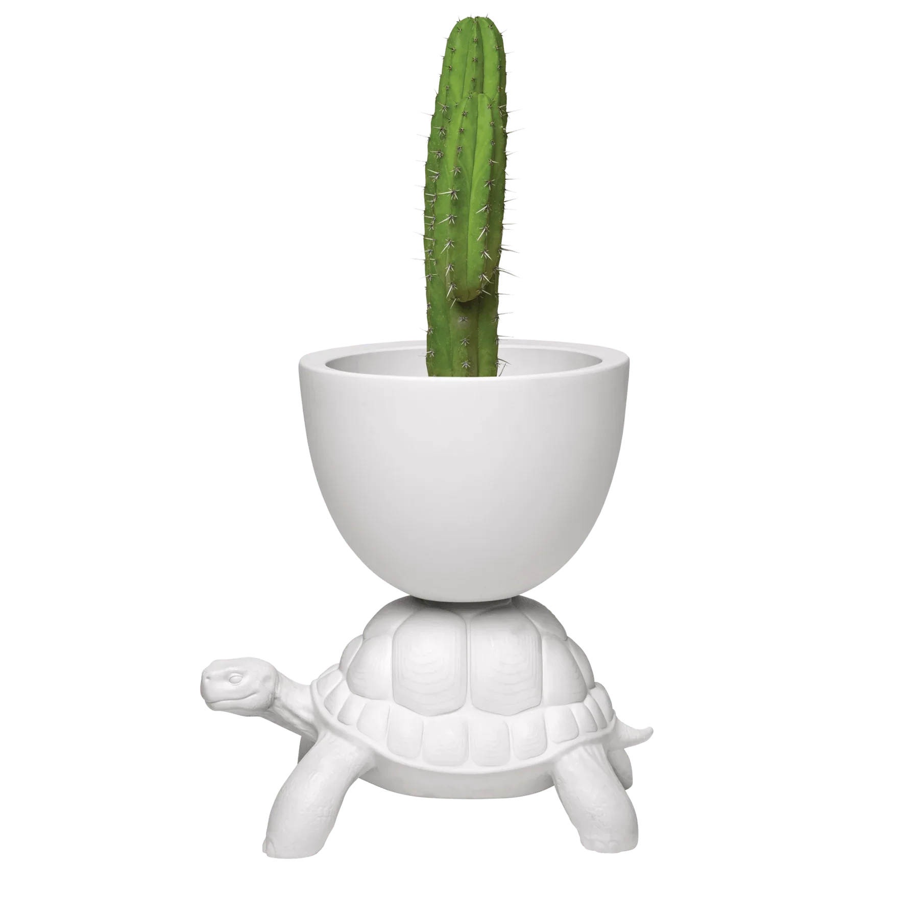 Turtle Carry / Ghiveci sau suport sampanie - Qeeboo - PARIS14A.RO