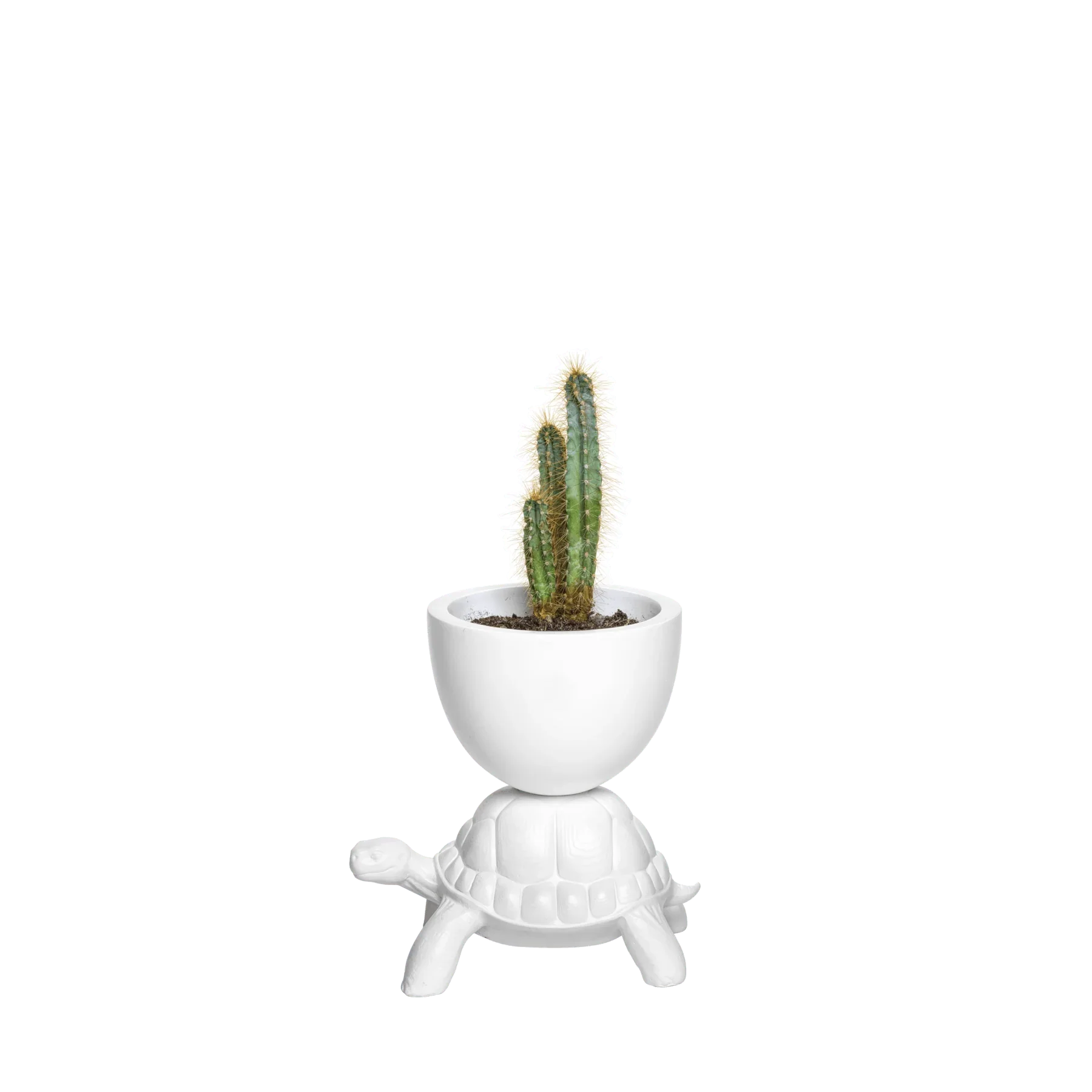 Turtle Carry XS / Ghiveci - Qeeboo - PARIS14A.RO