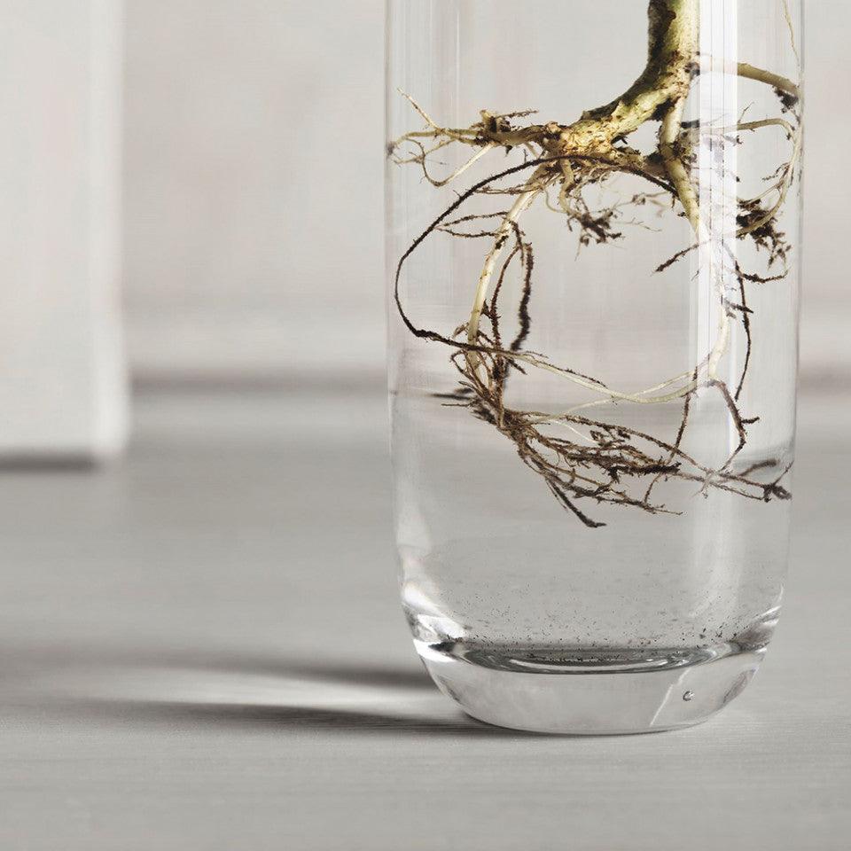 Vaza transparenta din sticla 22 cm Una Slim Bolia - PARIS14A.RO