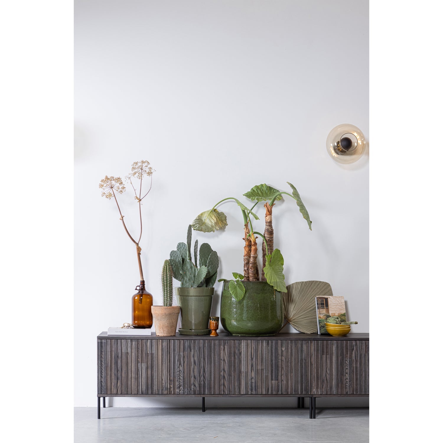 WOOOD mobila TV NEW GRAVURE | Ash Veneer | Espresso | 56x100x44 cm