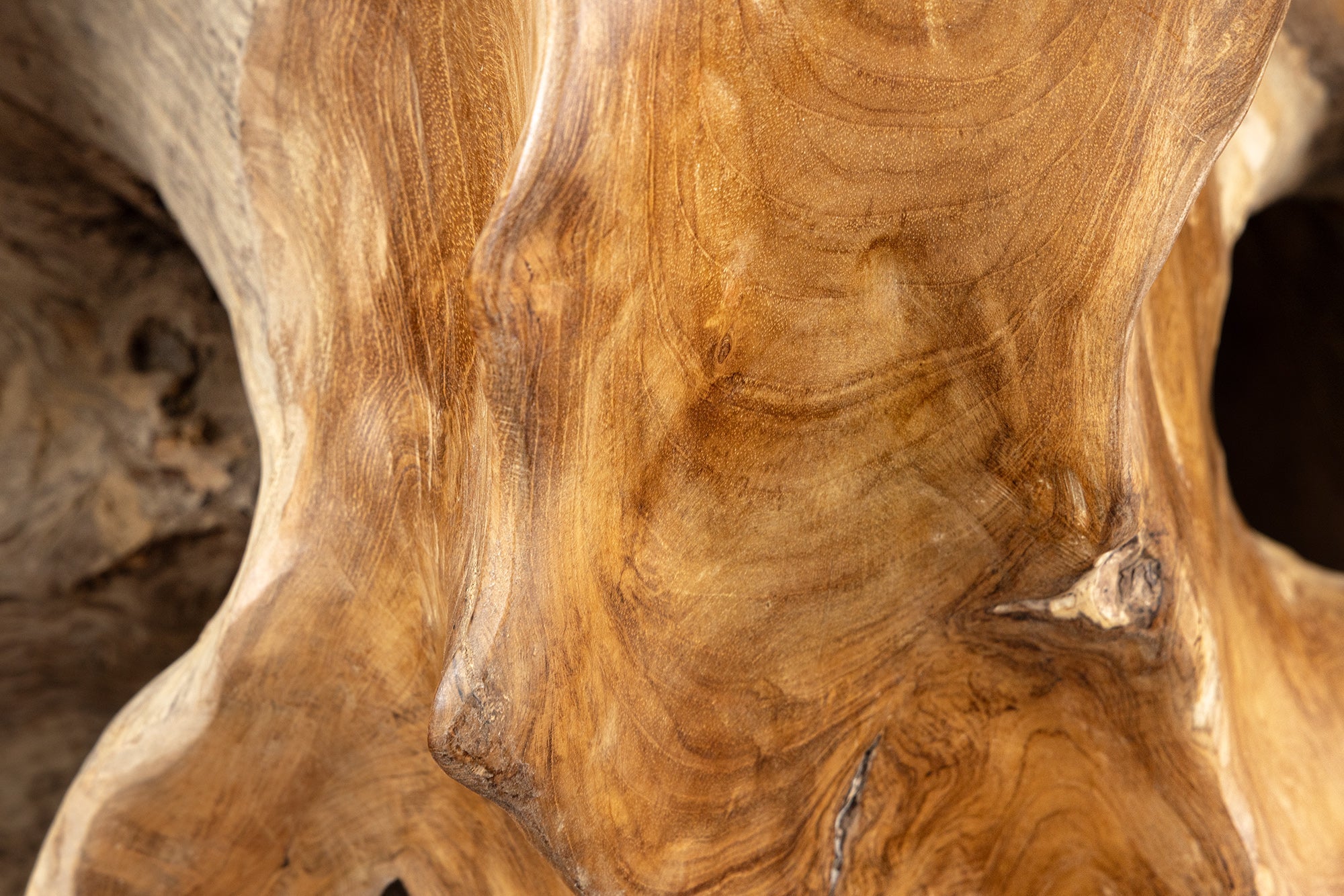 Invicta Consolă ROOT - 150cm | Sticlă | 150x80x40 cm
