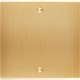 Modelec Confidence Placa simpla pentru 1 priza 2P+T | Alama Periata