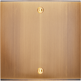 Modelec Confidence Placa simpla B2 pentru 2 intrerupatoare basculante | Bronz Vechi
