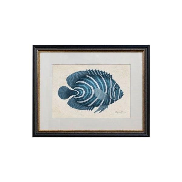 Tablou - Banded Angel Fish - 32 x 42cm - PARIS14A.RO