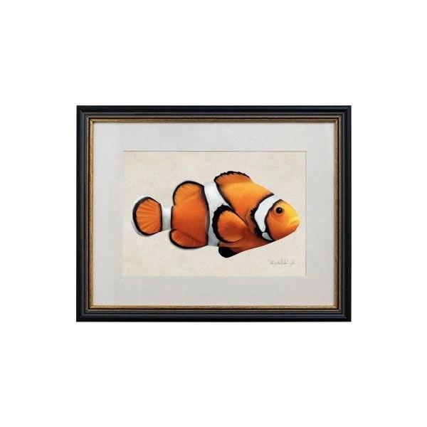Tablou - Clownfish - 32 x 42cm - PARIS14A.RO