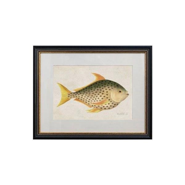 Tablou - Dotted Sunfish - 32 x 42cm - PARIS14A.RO