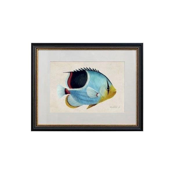 Tablou - Saddie Butterfly Fish - 32 x 42cm - PARIS14A.RO