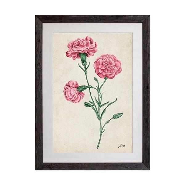 Tablou - Candy Floss Carnation - 50 x 70cm - PARIS14A.RO