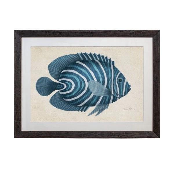 Tablou - Banded Angel Fish - 70 x 50cm - PARIS14A.RO