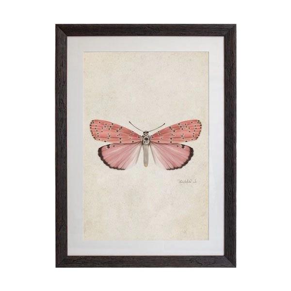 Tablou - Bella Moth - 50 x 70cm - PARIS14A.RO